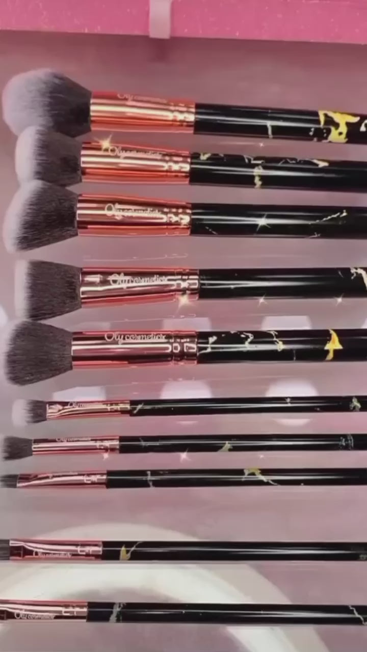 Makeup Brush (10 Piece Set)