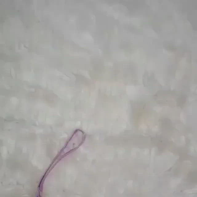 Makeup Bag ( beautiful, iridescent lazer colors)